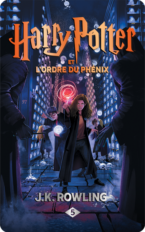 Harry Potter : livres 4 à 7