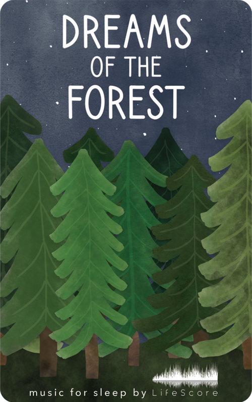 The Dream Collection