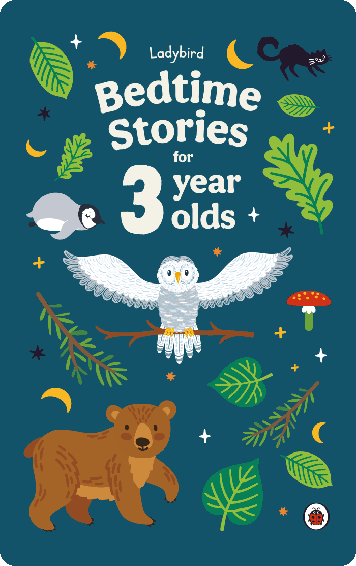 Ladybird Bedtime Stories for 3 Year Olds