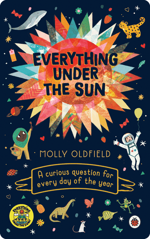 The Discovery Bundle