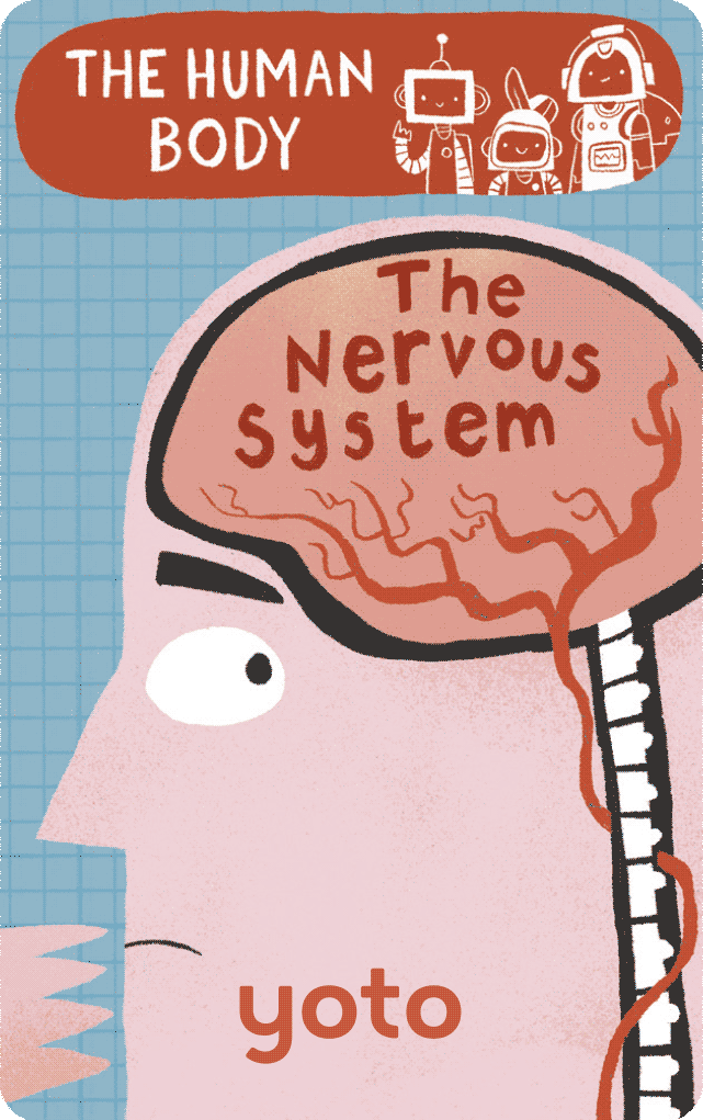 The Human Body: The Nervous System (Digital)