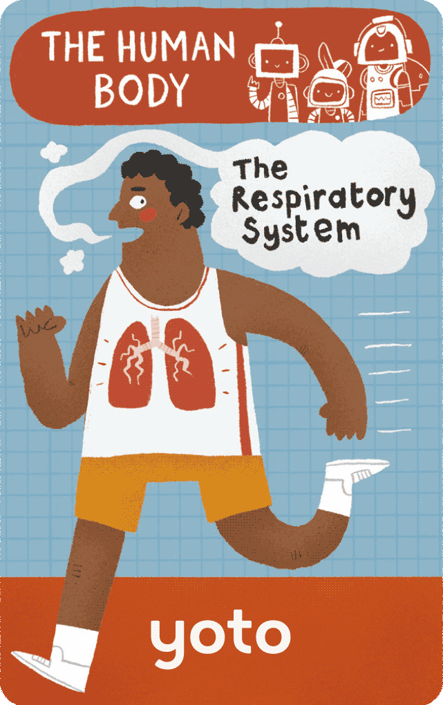 The Human Body: The Respiratory System (Digital)