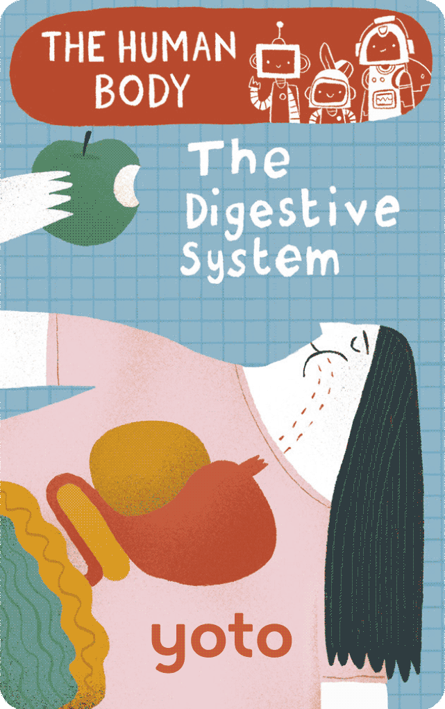 The Human Body: The Digestive System (Digital)