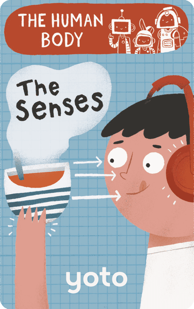 The Human Body: The Senses (Digital)
